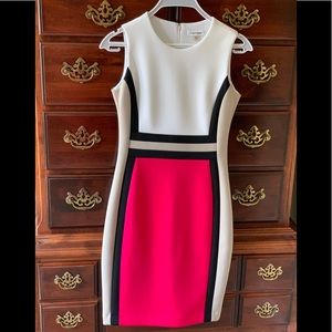 Calvin Klein Colorblock Scuba Knit Final Price